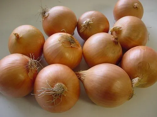 Onion Old Crop (18 Kg)